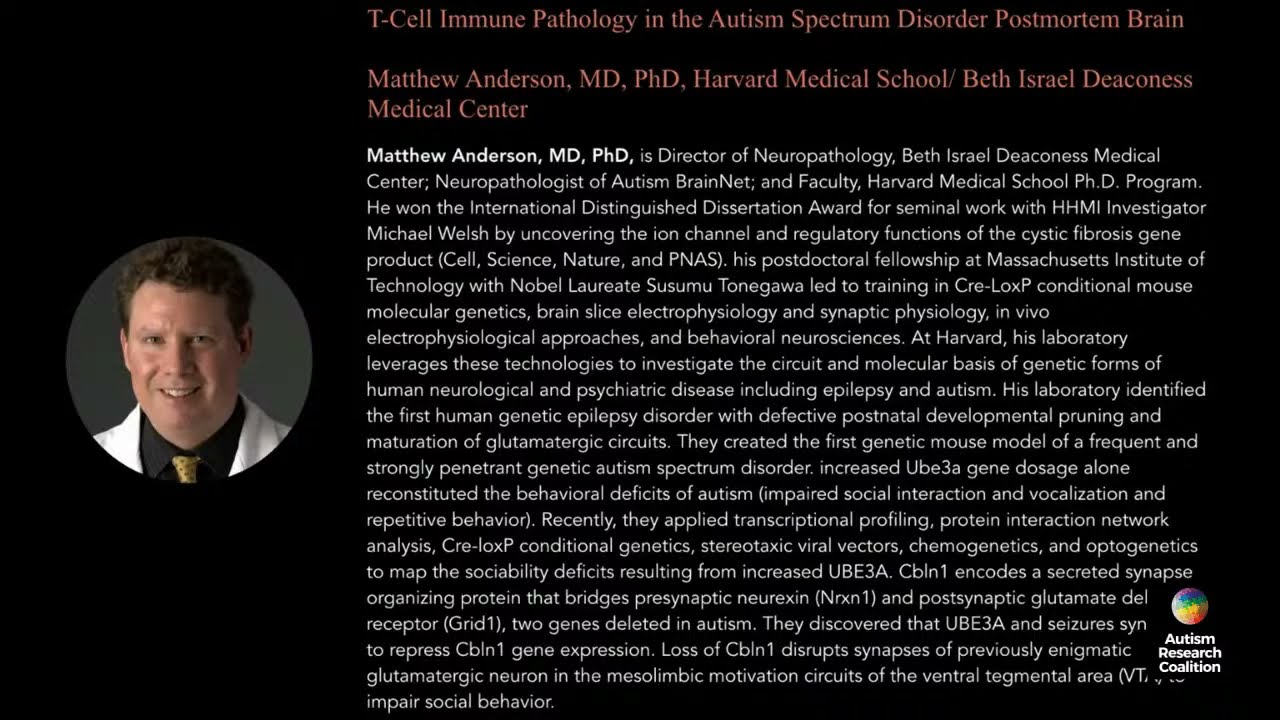 [Rebroadcast, Synchrony 2020]  T-Cell Immune Pathology in the Brain in ASD by Dr. Matthew Anderson