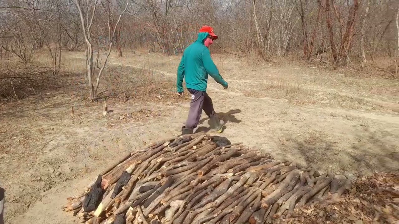 PEGUEI O ZÉ PEQUENO COBRINDO A ÚLTIMA CAEIRA DO ANO..