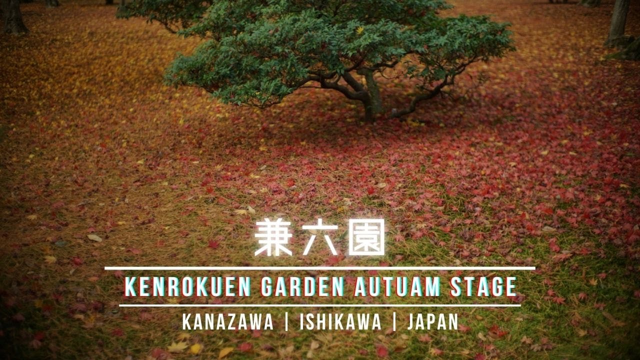 【兼六園】 紅葉、灯りに浮かぶ夜 ― 金沢 兼六園ライトアップ
