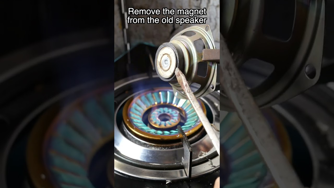 Remove the magnet from the old speaker.
