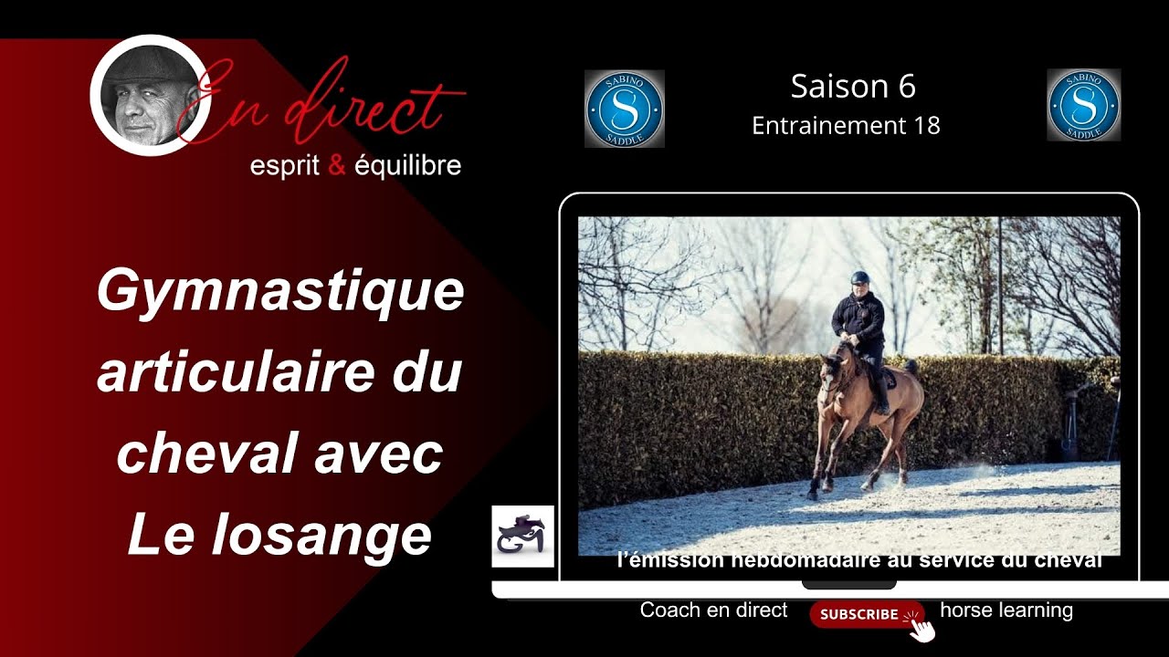 Gymnastique Articulaire du cheval avec le Losange @coachendirecthorselearning
