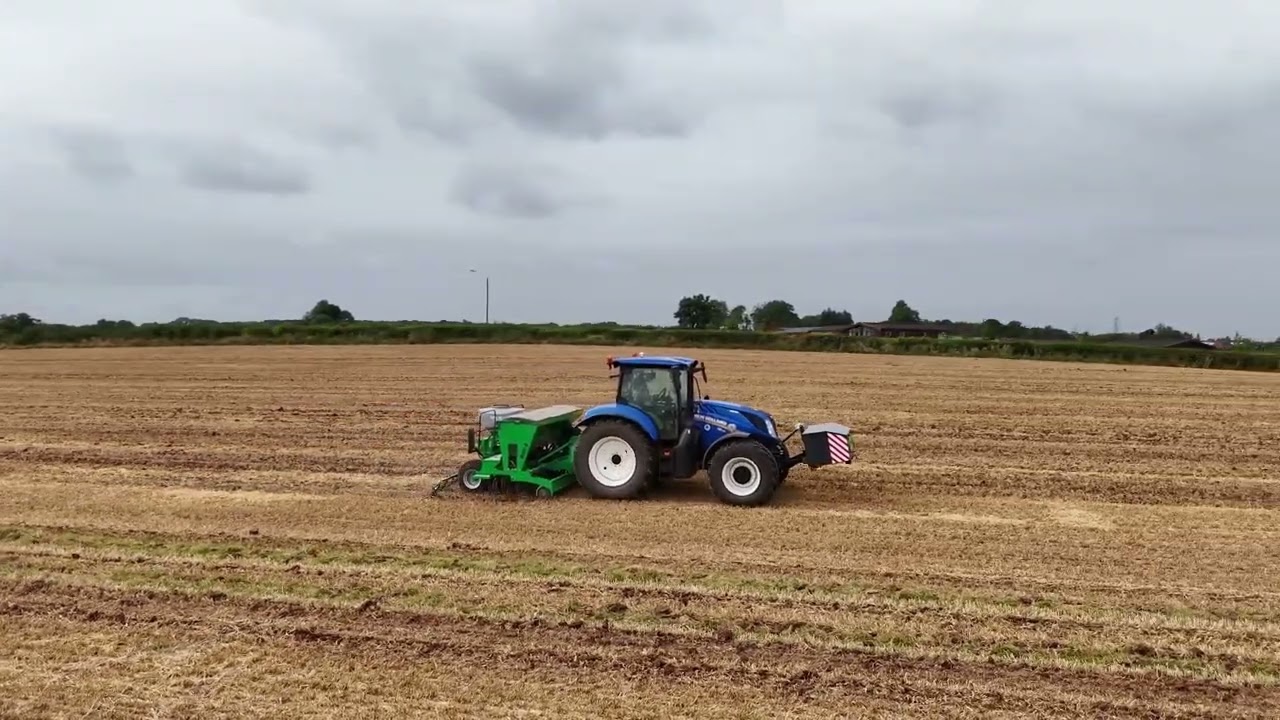 Drilling stubble turnips 8th Aug 2024