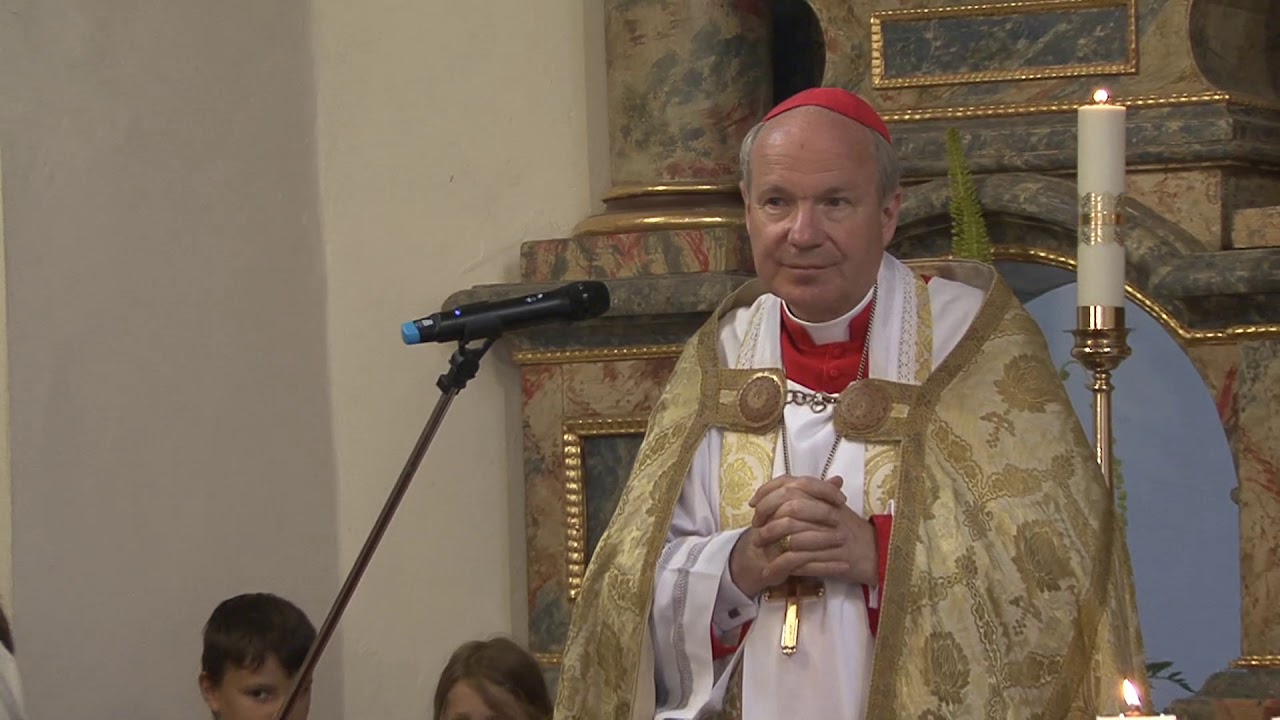 Bischofsvisitation 2009 Götzendorf - Pischelsdorf