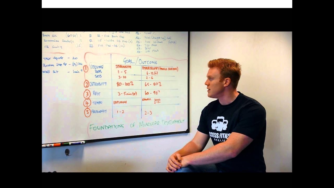 The Foundations of Muscular Development