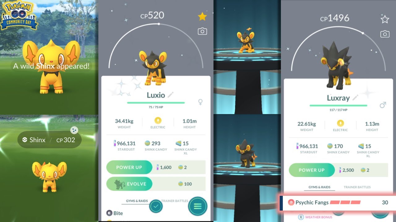 COMPLETING SHINX SHINY FAMILY IN POKEMON GO | NOVEMBER COMM DAY
