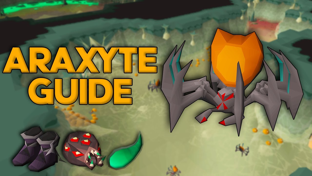 The Ultimate Araxyte Quick Guide OSRS (Araxyte Slayer Guide)