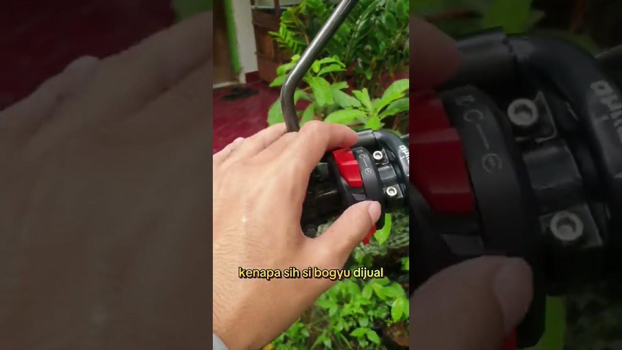 terimakasih 1 tahunnya bogyu