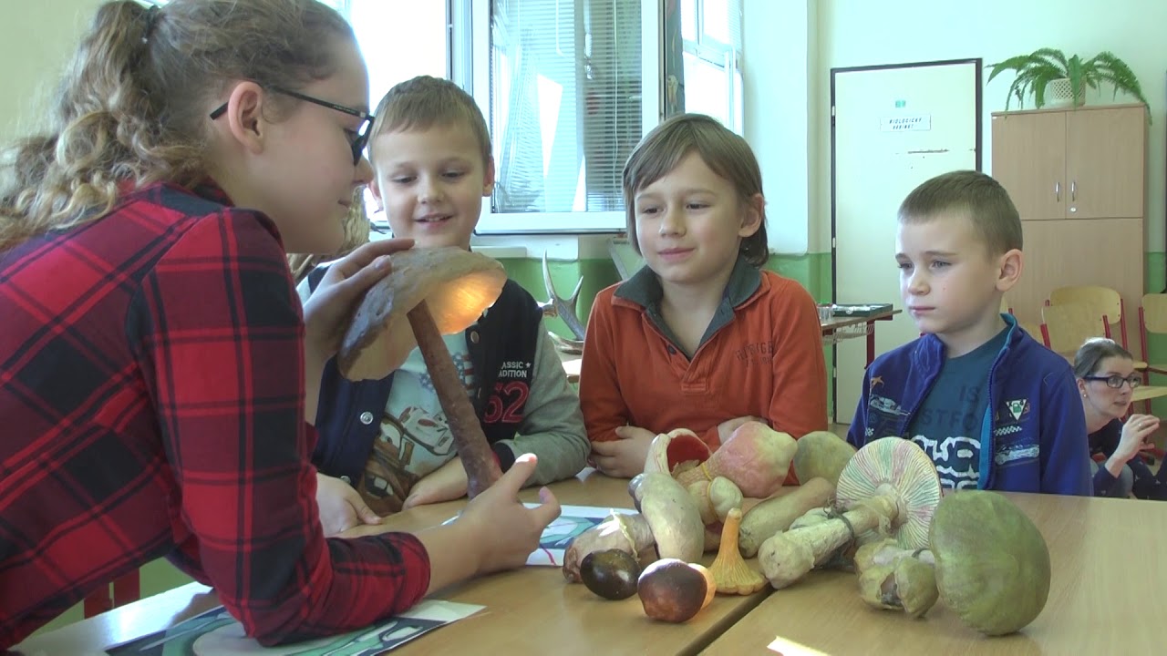 17 11 09 tyzden vedy a techniky zs duklianska w