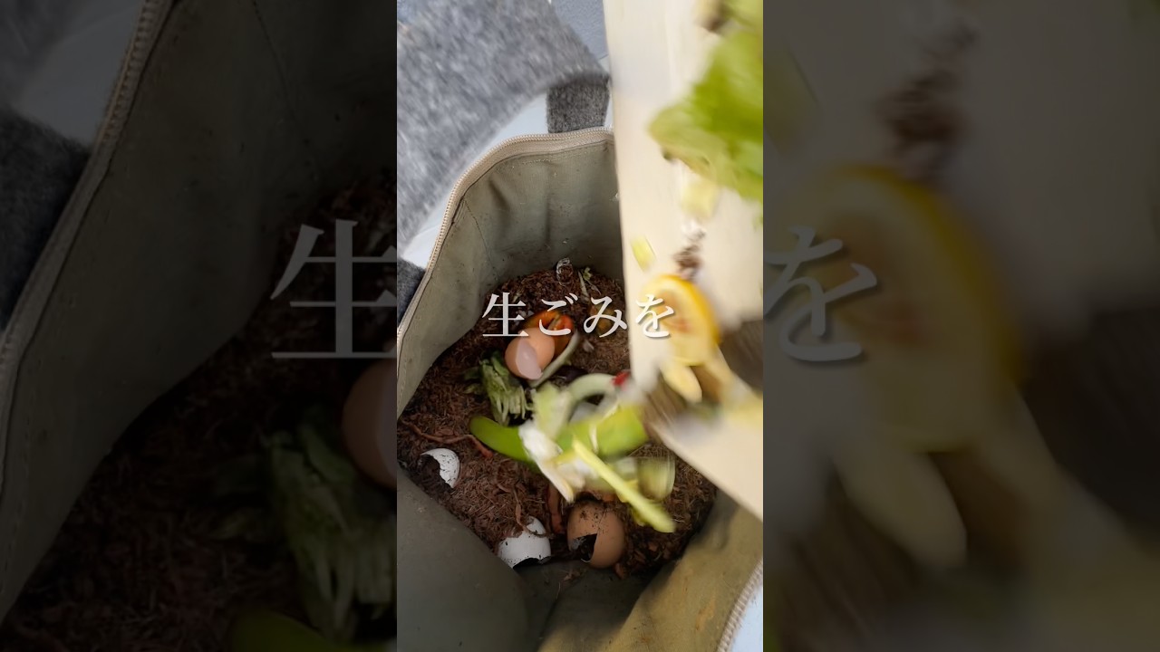 【天才】生ごみが新鮮野菜に生まれ変わる神アイテム見せます #shorts