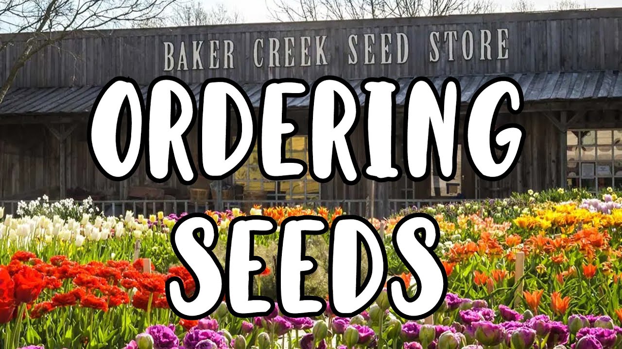 Ordering Seeds Online From Baker Creek Seeds
