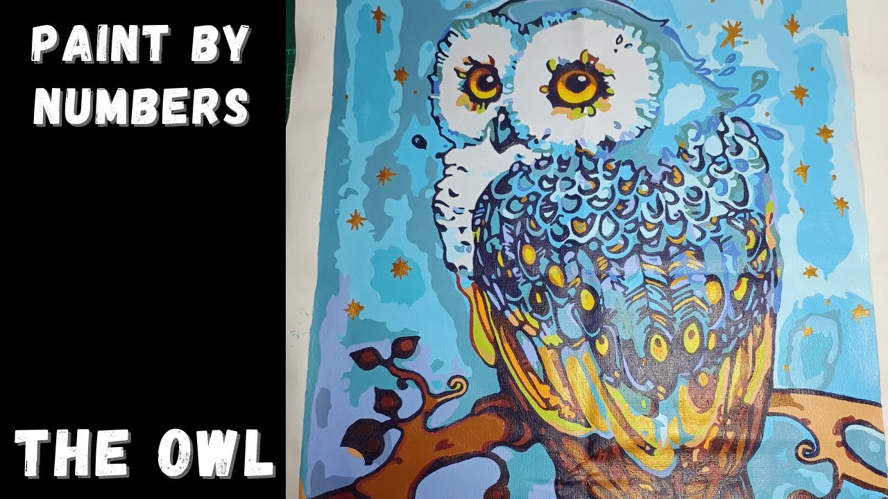 Paint-by-numbers: The Owl | Számfestő: A bagoly [NO COMMENTARY] (relaxing fantasy music]