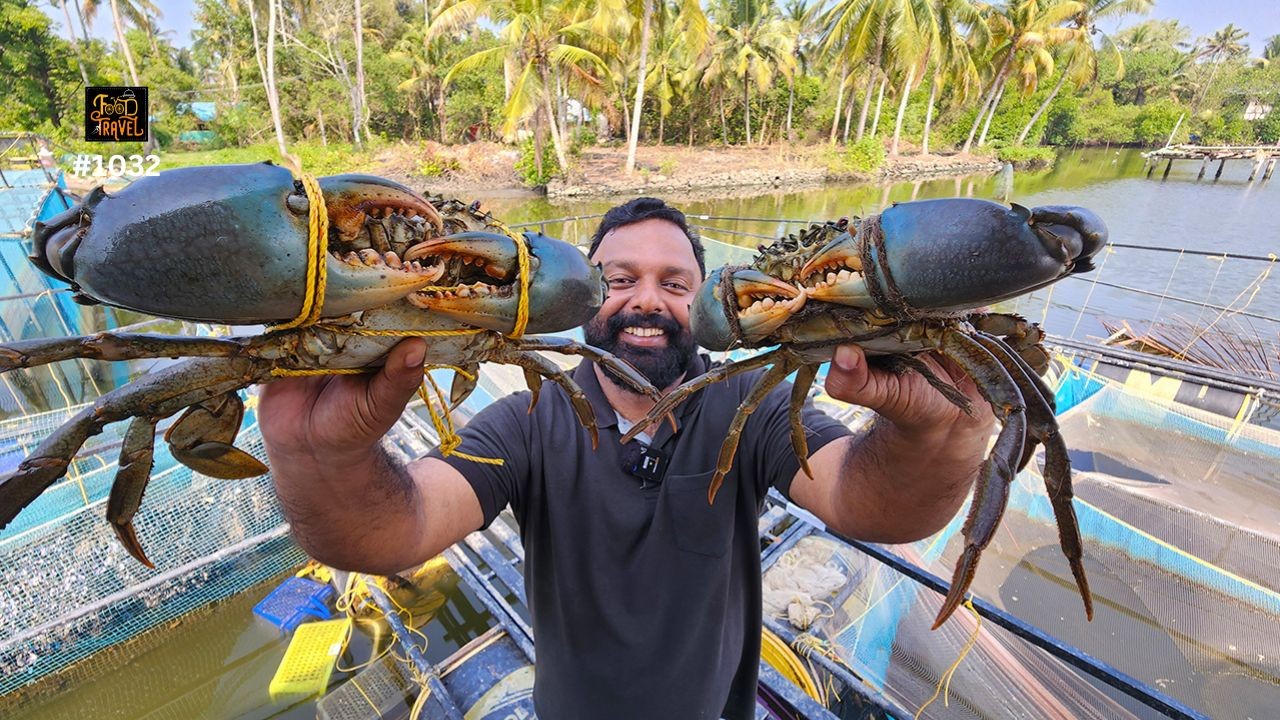 വിദ്യാർഥികൾ തുടങ്ങിയ ഞണ്ട് ഫാം | Kerala students started this Mud Crab farm | Mud crab export Kochi