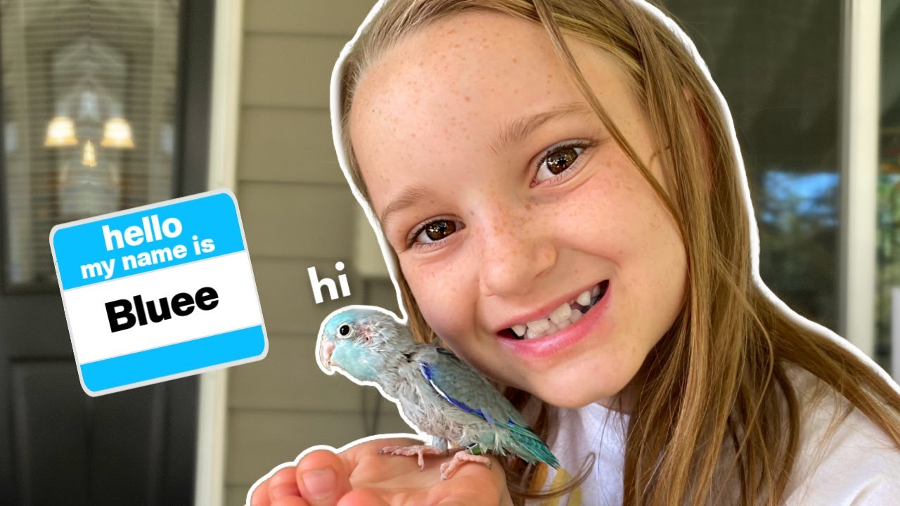 My mom let me pick ANY BIRD from the rescue!!