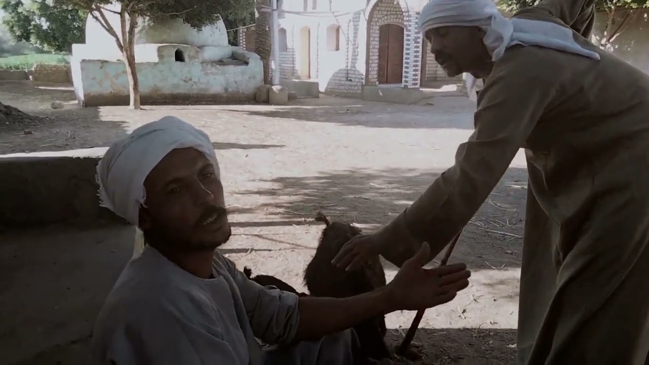 شاهد ماذا فعل الحاج عبدالحسيب لما خلف ولد على 22 بنت