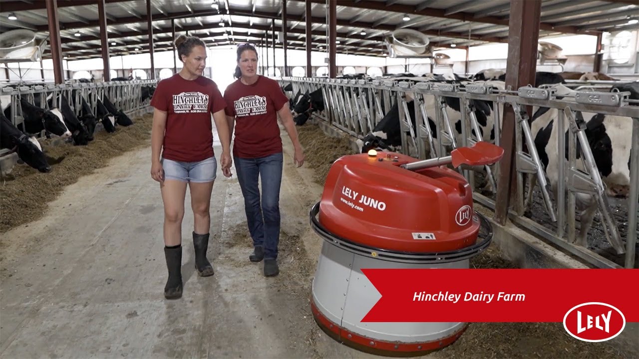 Hinchley’s Dairy Farm – Lely Life Story