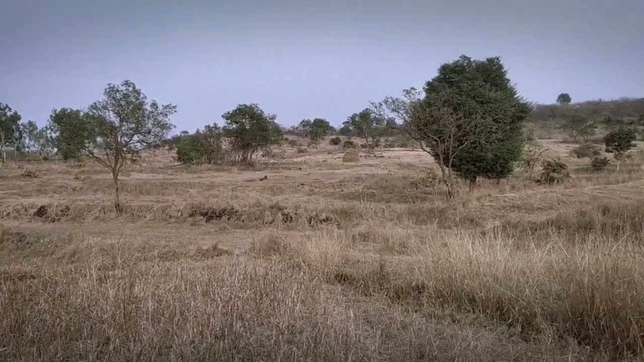 निसर्ग 😍
