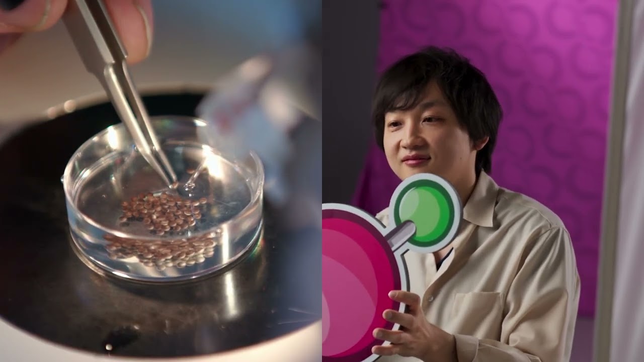 Employee Story | Taka Takebe, MD, PhD
