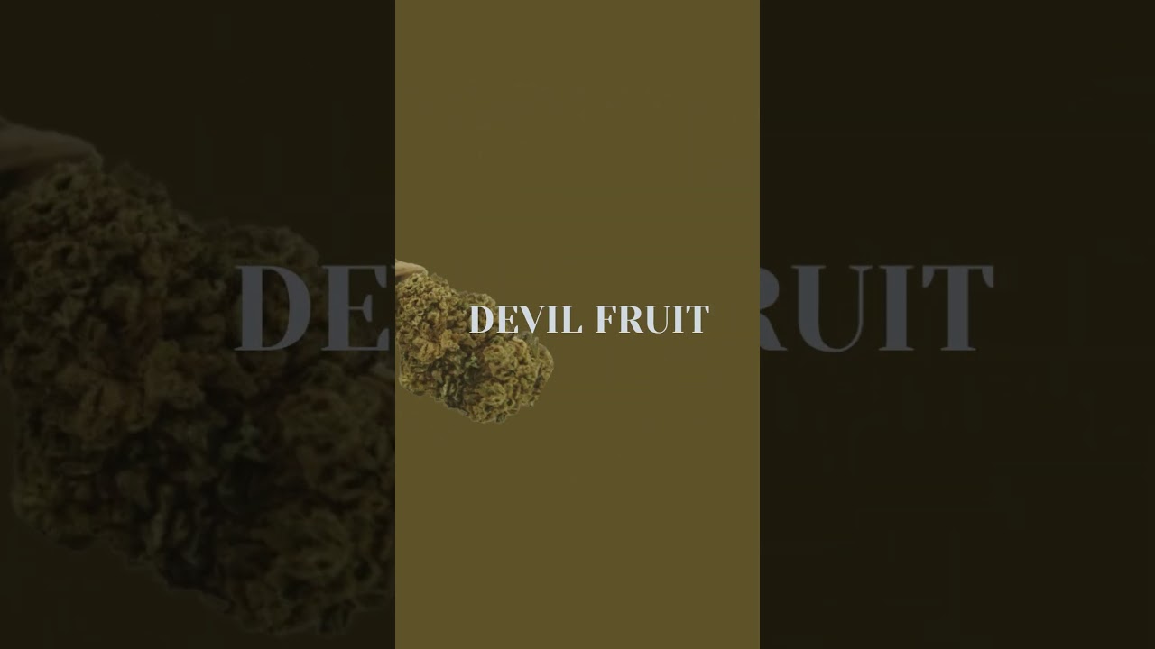 DEVIL FRUIT 