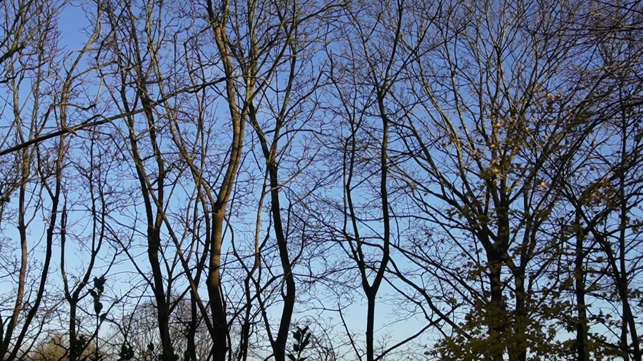 Meditation 2nd December 2024