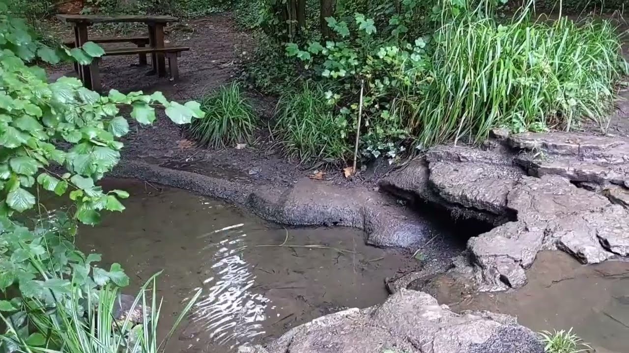 Abbots Pool Near Clifton Bristol