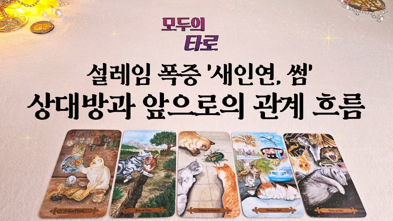 [타로] 새인연, 썸, 애매한 관계! 우리관계 어떻게 흘러갈까?