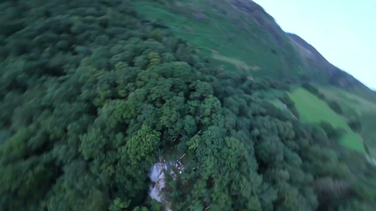 Suprise view