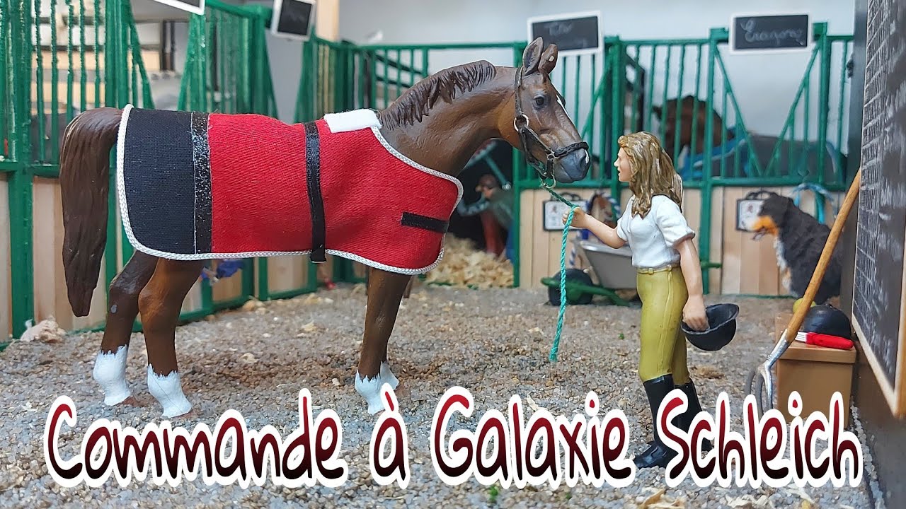 [Colis de Galaxie Schleich] 10 nouvelles couvertures pour mes Collecta ! 🎁❄