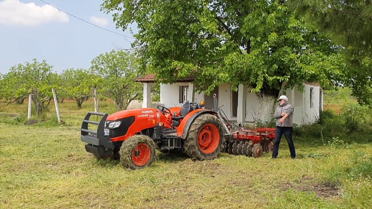 Kubota M6040 Narrow | Disc-harrow work for fig garden. (İncir Bah&ccedil;esine Diskarov &Ccedil;ekim İşi)