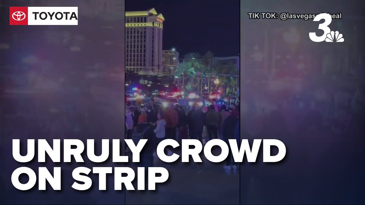Court records show man charged in weekend Las Vegas Strip incident