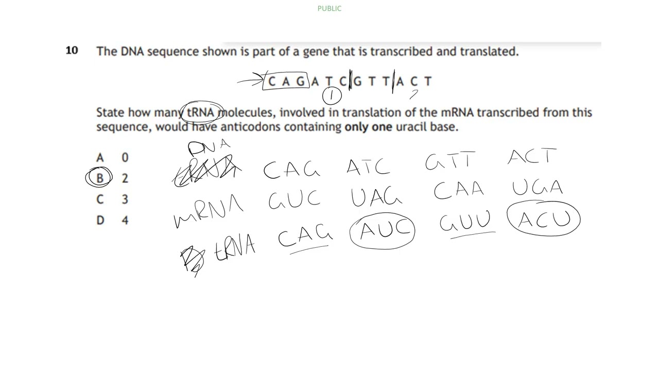 answers to oct test for youtube