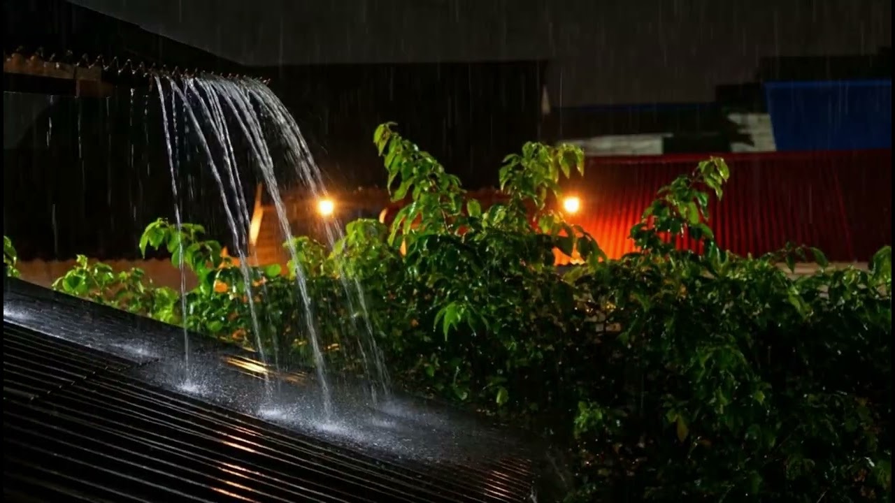 Best Rain in the Rural at Night 🌲 | Sleep Deeply with Rain Sounds