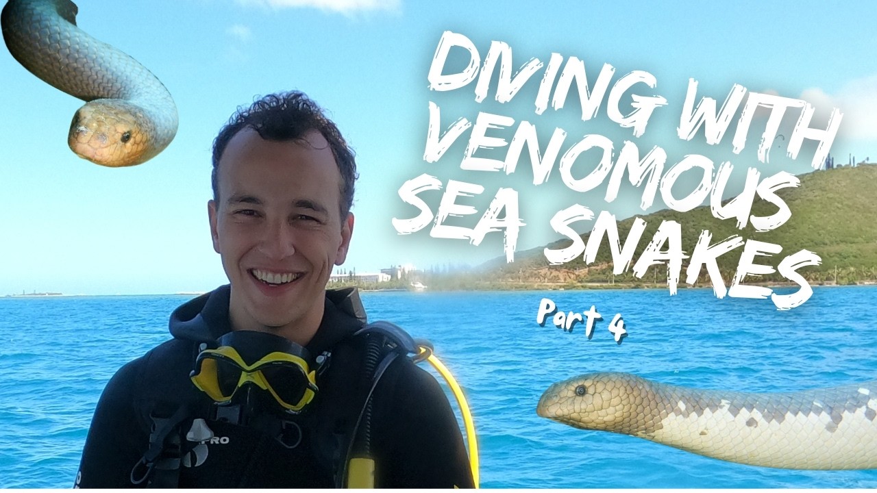 Vlog1 - New Caledonia -2k23