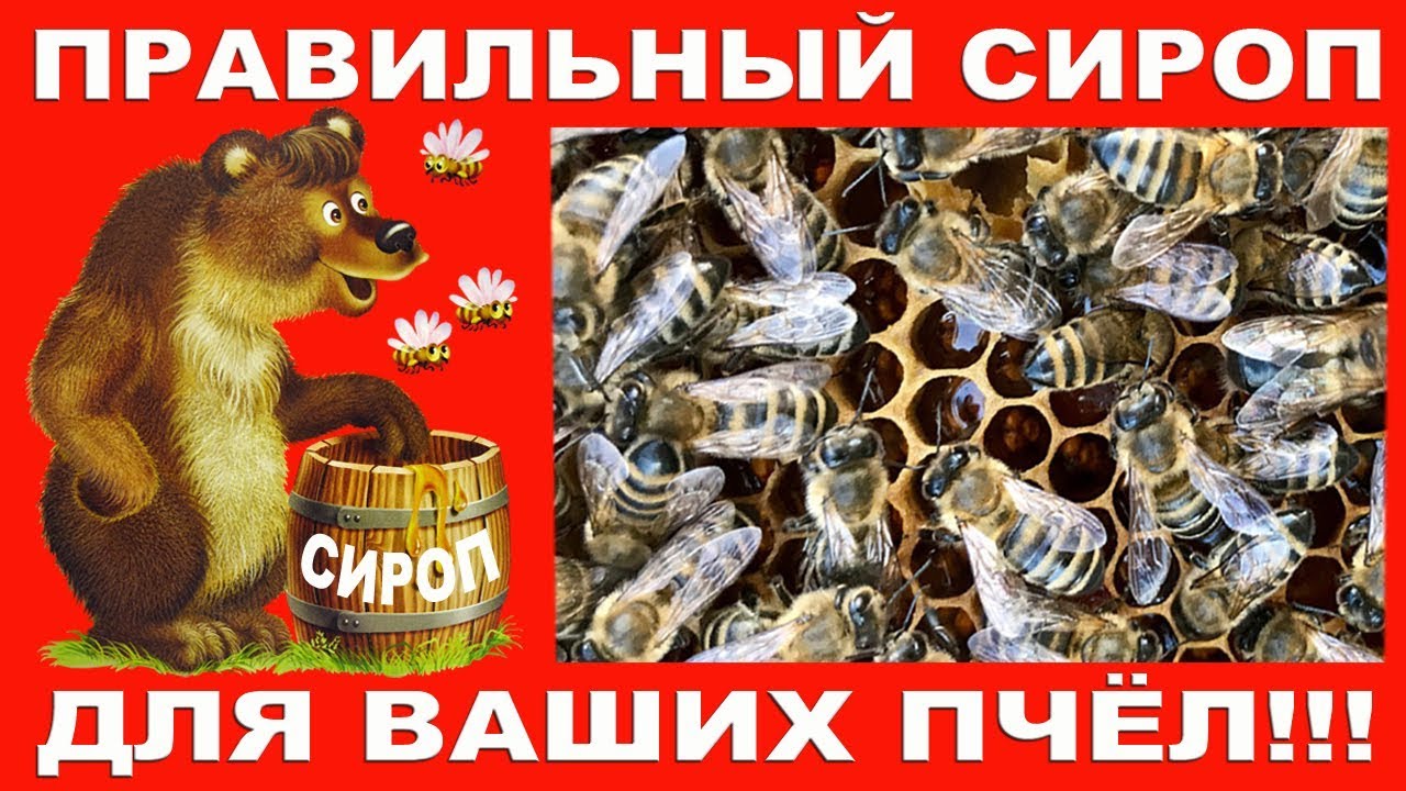 Правильный сироп для ваших пчёл!