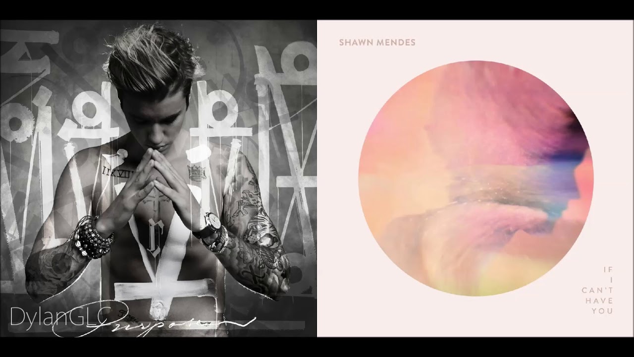 If You Can't Love Yourself | Shawn Mendes & Justin Bieber Mashup!