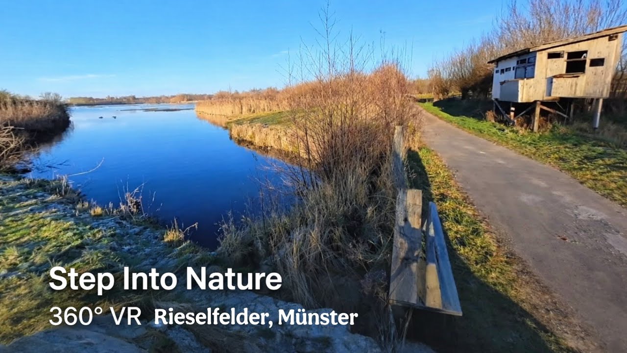 Walk through the Rieselfelder, M&uuml;nster | Insta360 X5 | Pure Nature Sounds