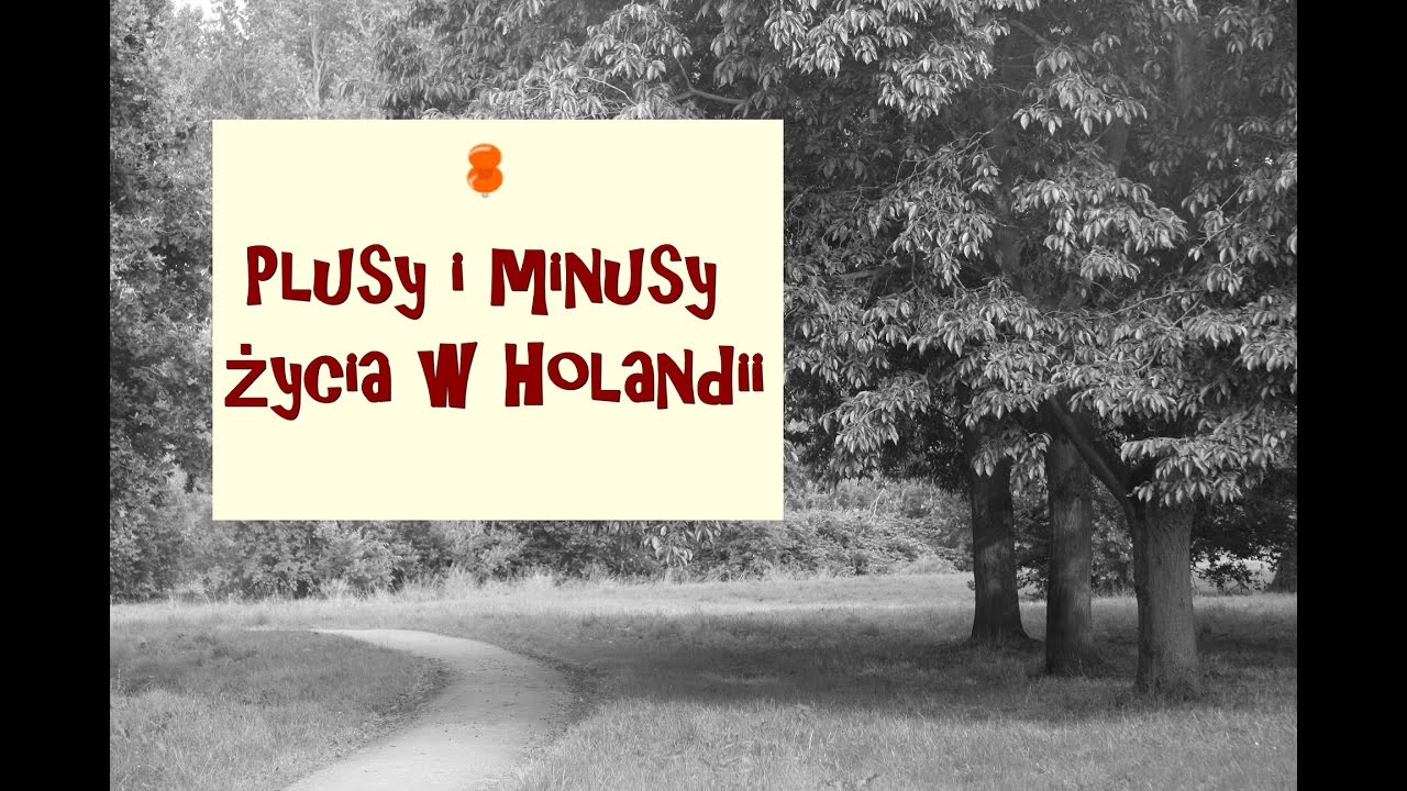 Plusy i minusy życia w Holandii