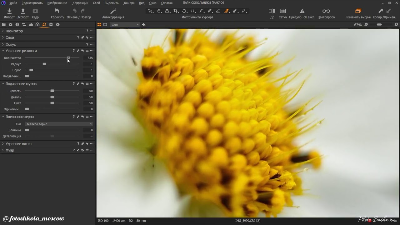 Пример пост-обработки фотографии с цветком в Capture One