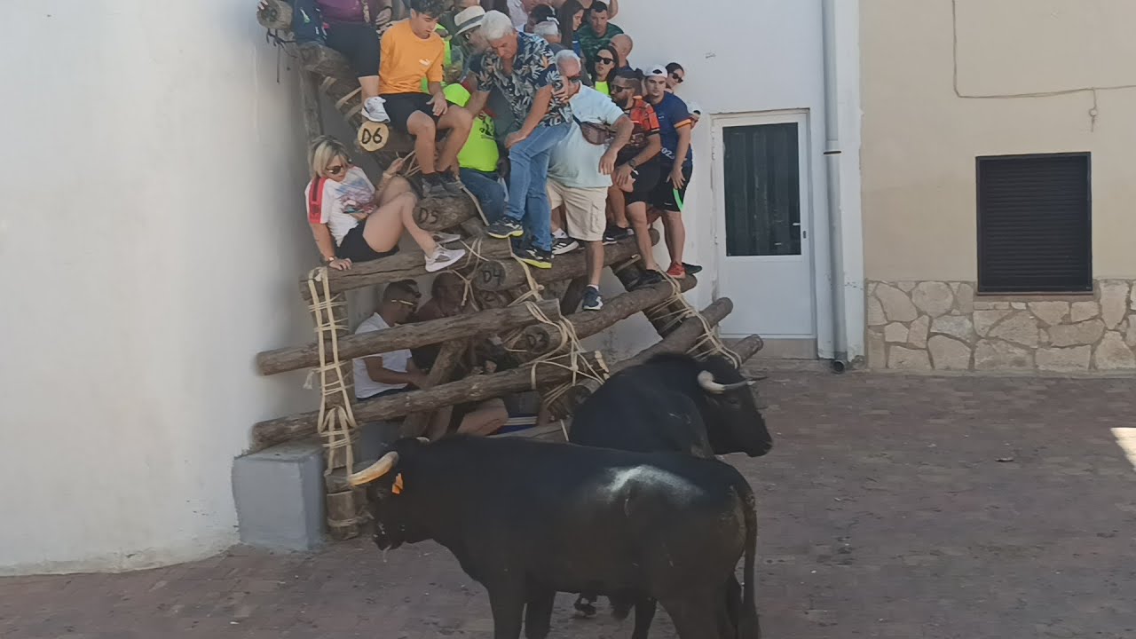 Mari Munera en apuros.. La Vegallera 2024