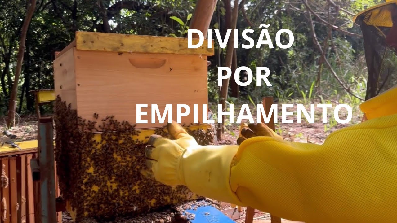 MULTIPLICAÇÃO por EMPILHAMENTO