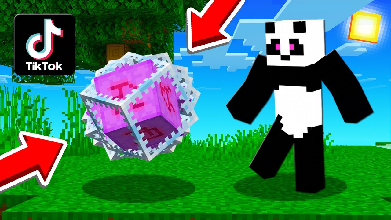 TESTAM TIKTOK-uri CARE PAR IMPOSIBILE cu MINECRAFT!