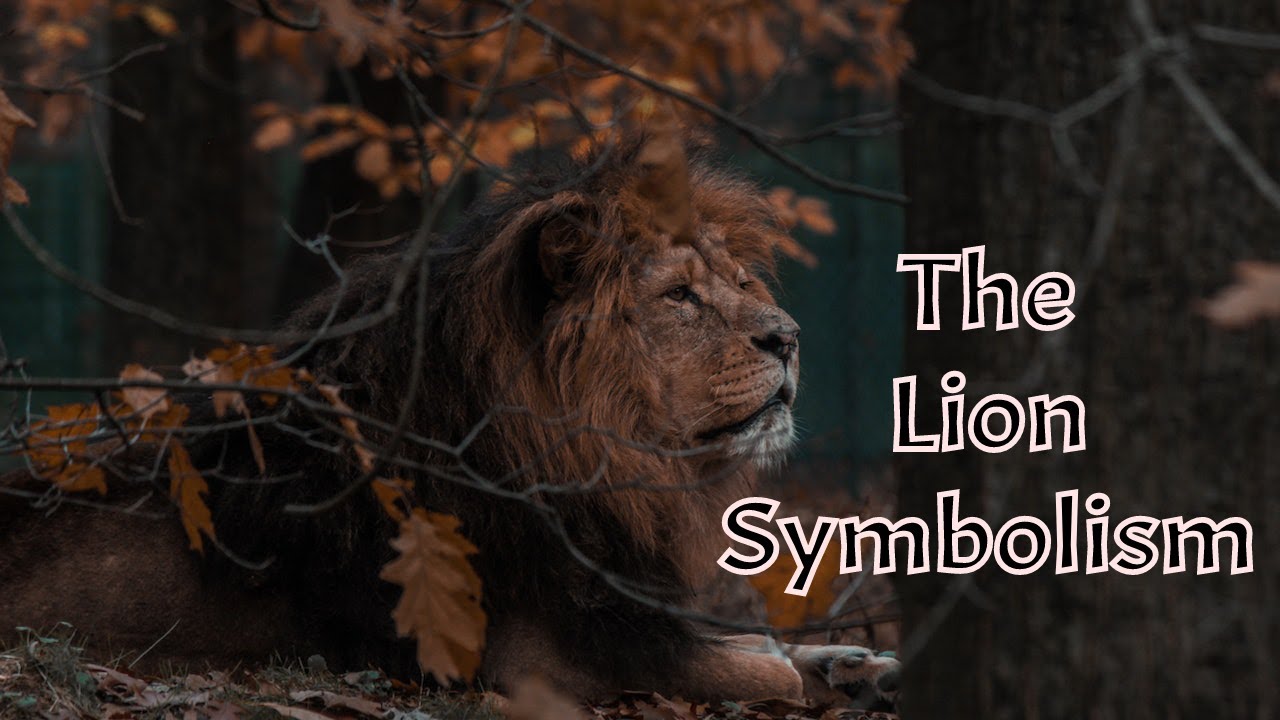 The Symbolic Meaning of Lions in Various Cultures and Religions Why It's Important