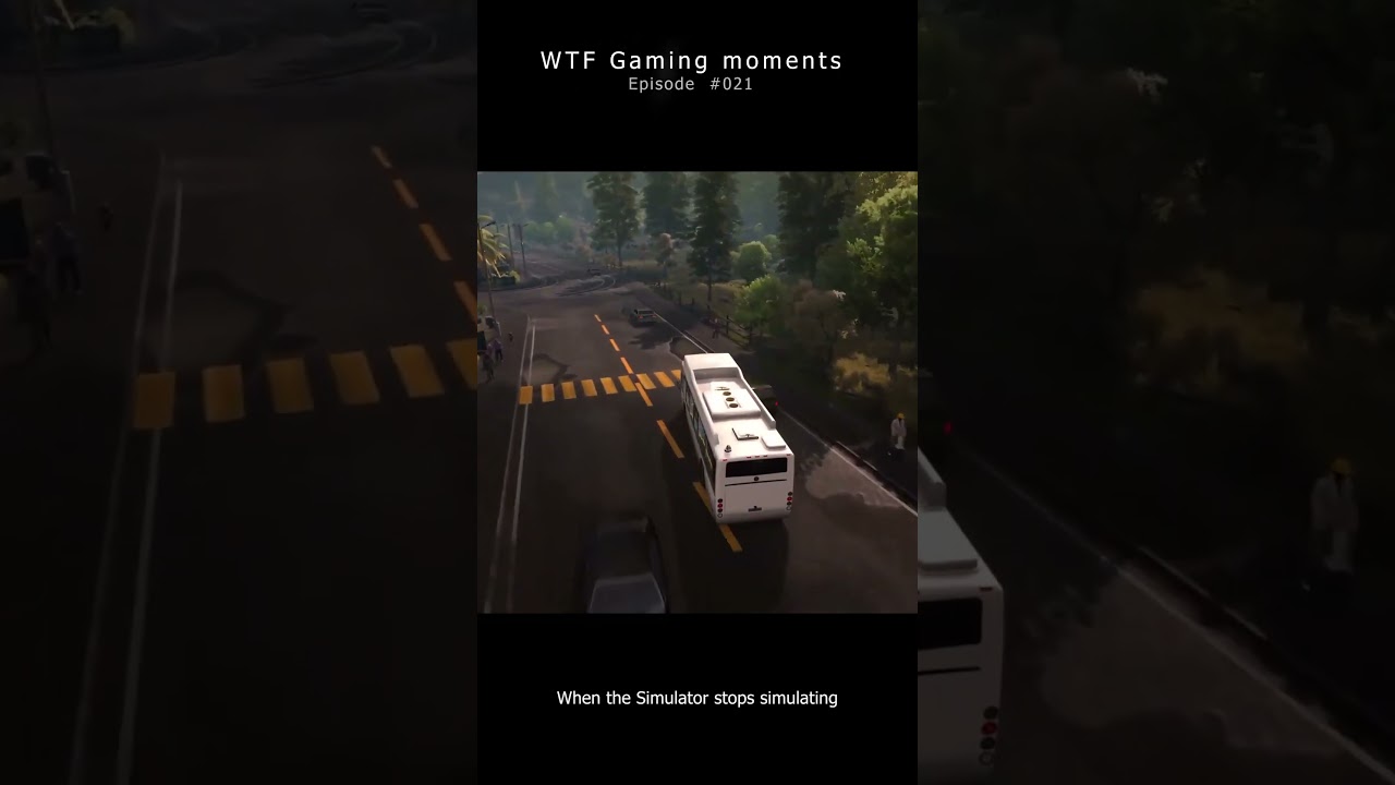 WTF gaming moments #021