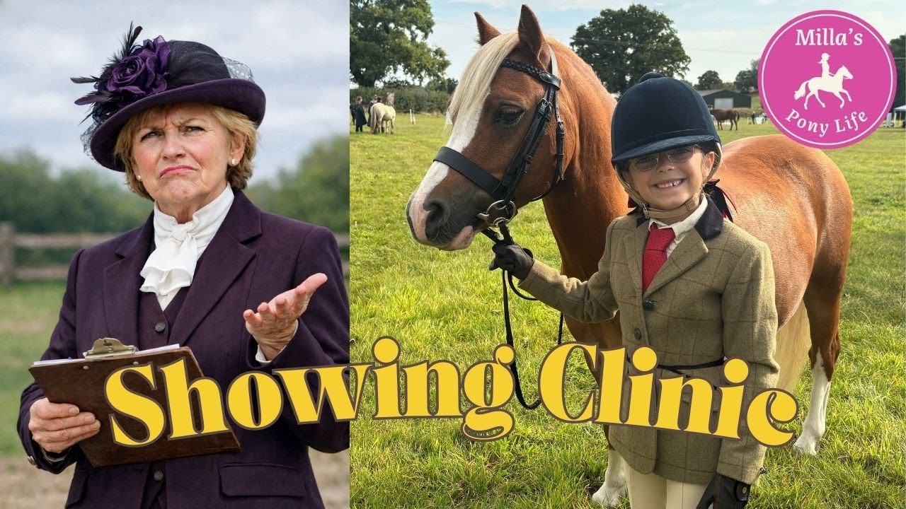 WHAT JUDGES *REALLY* LOOK FOR IN SHOWING (Clinic Insights)