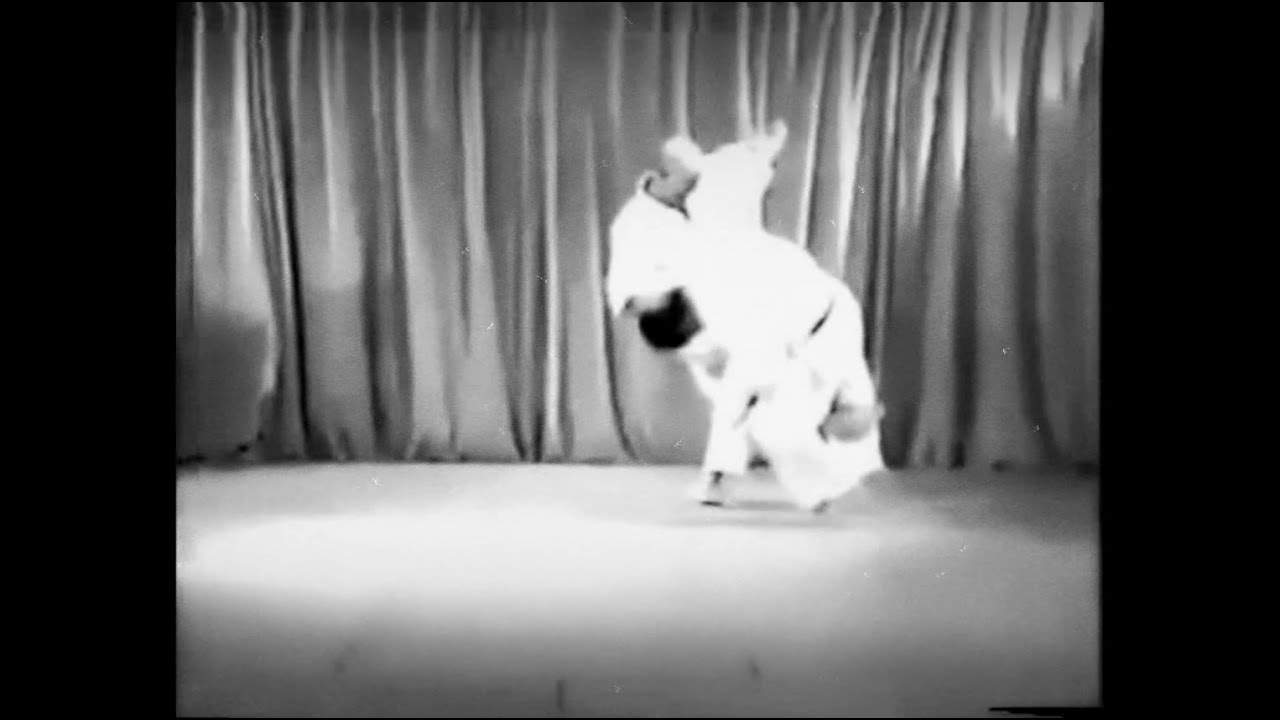 Wado Ryu Karate - Jiyu Gumite Throwing Technique