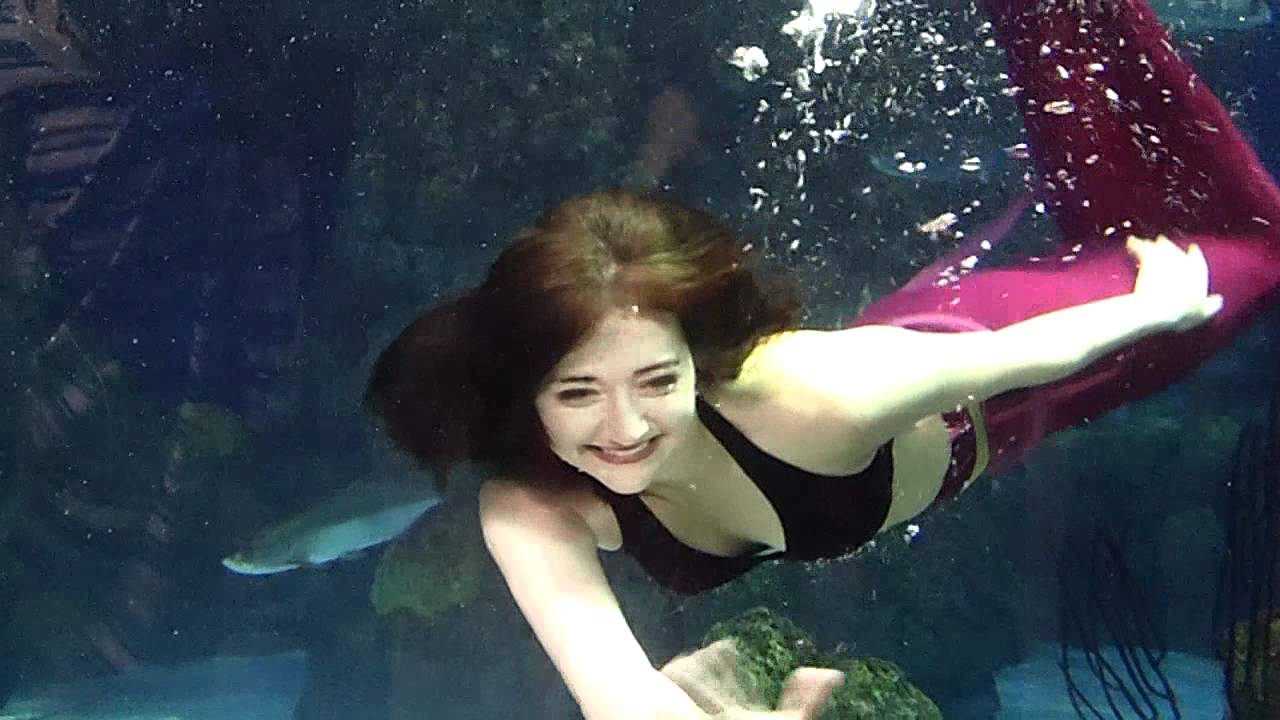 Mermaids at the Downtown Aquarium in Denver