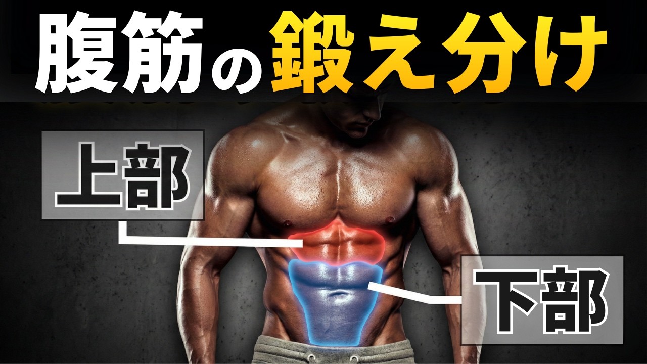 シックスパックに必要な”たった2つの種目”【科学的根拠に基づく】