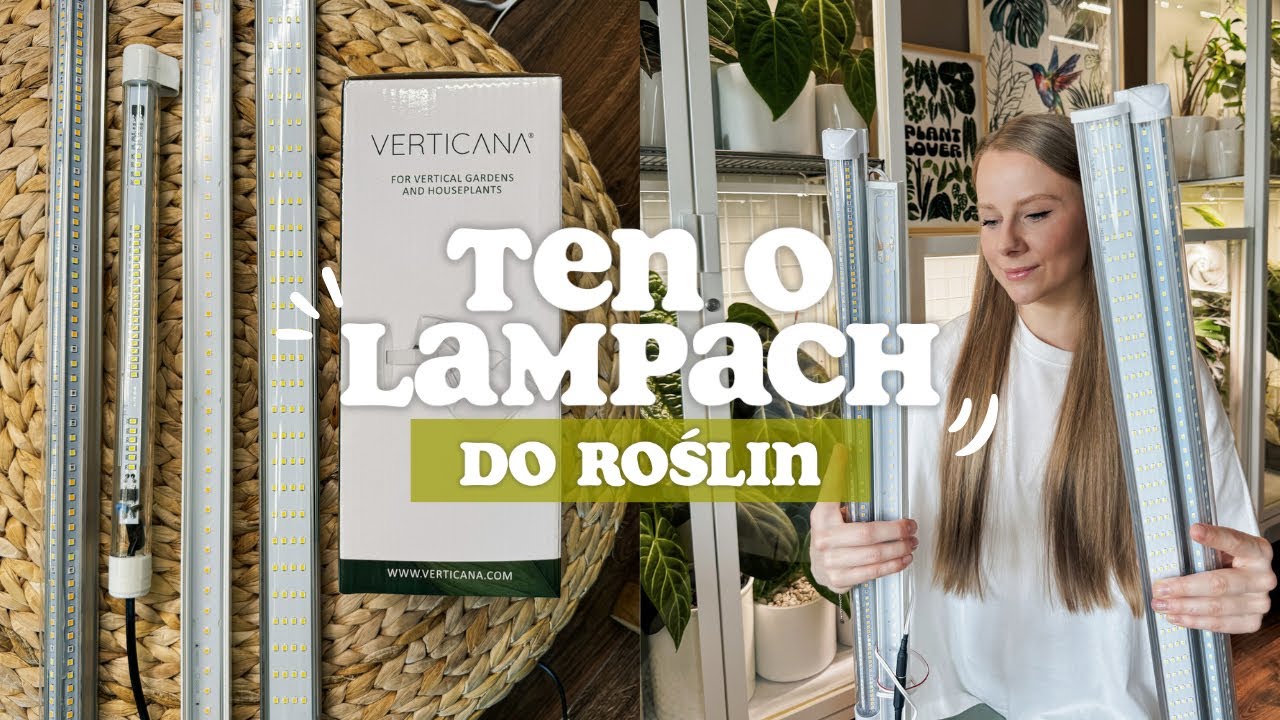 LAMPY DO ROŚLIN 💡 / Przegląd lamp dla roślin / Tanie i drogie lampy / Mr.Light / Verticana / Ledy