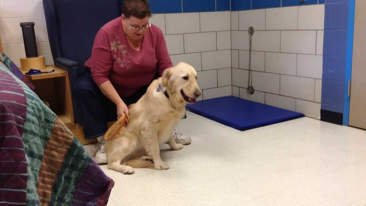 Leader Dog Issue Day, January 14, 2014