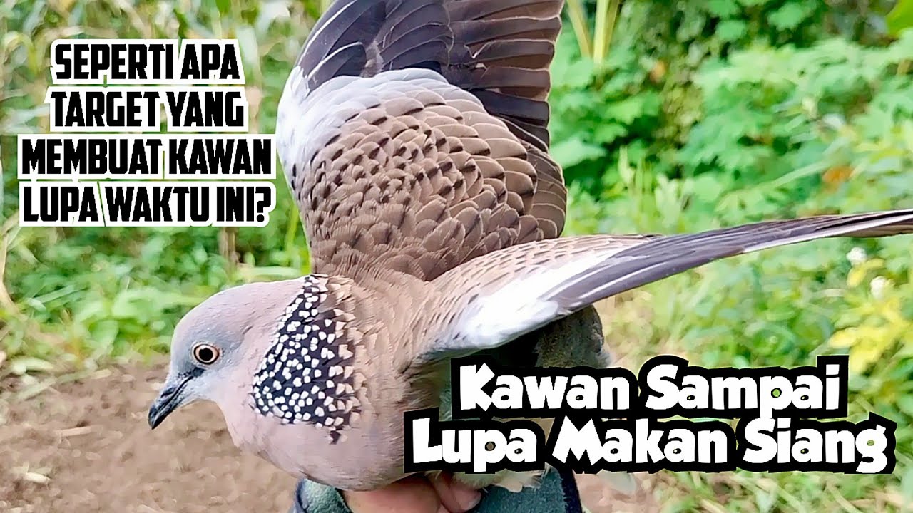 Seperti Apa Target Kawan Itu, Sampai Mereka Rela Tak Makan Siang...