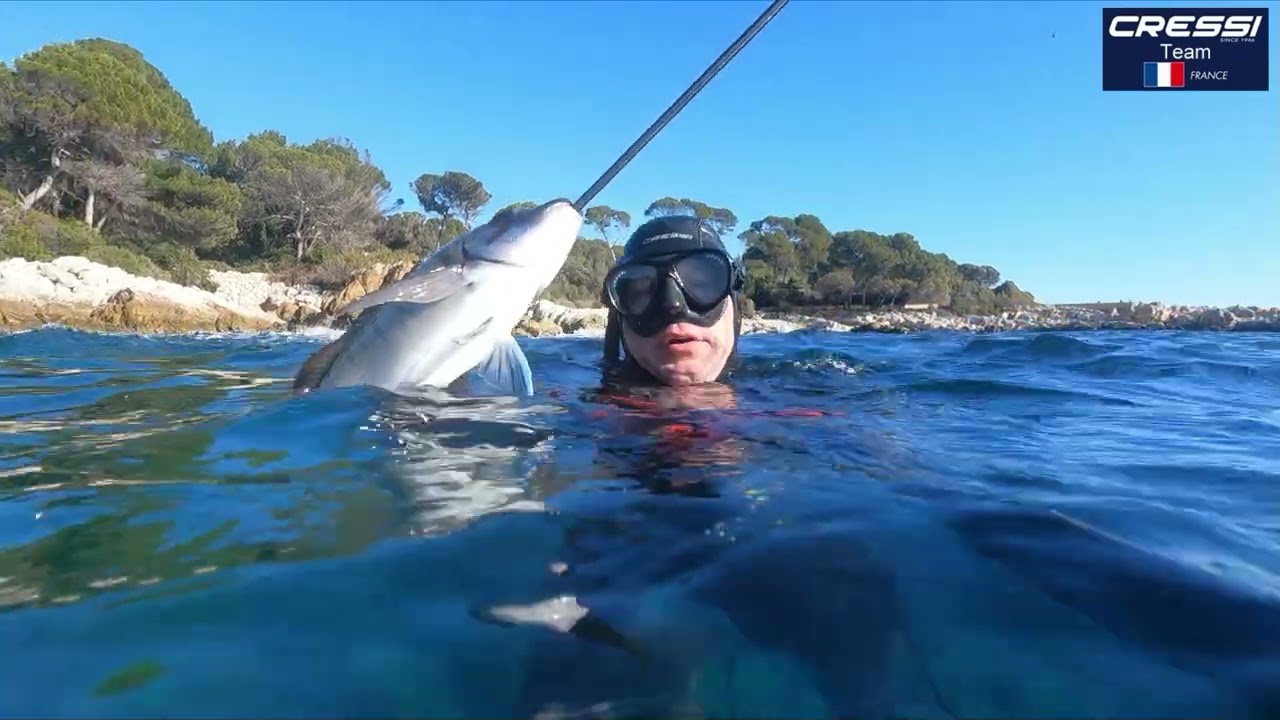 Chasse sous marine 2025 en hiver partie 2( Cressi Team )